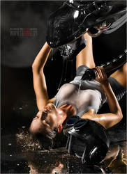 ������� ����������, ��� ����������, ���� �� ����������, ���������� � �������������� ����