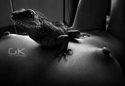 ���� ���������� � ������, ������������ ���� ��������� ���