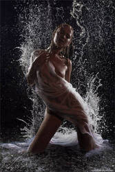 ���� ���������� � ���������