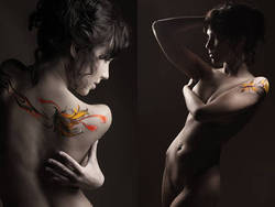 ���������� �����������, ������������� ���������� ���� ������, web ����������