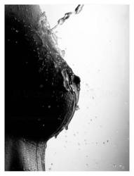 ���� ���� ��������� ��� ����������