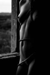 ���� ��������� ��� ����������