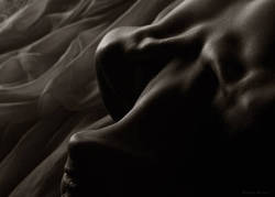 ��� ������ ���������